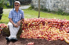 В Белёвском районе задержали «яблочных» воров