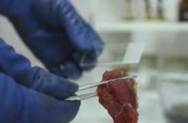 Кимовская больница оштрафова за неправильное хранение мясной продукции