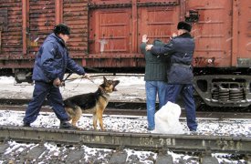 Тульский полицейский «нанимал» похитителей, чтобы повысить раскрываемость преступлений