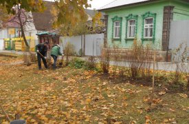 На ул. Октярьской октябрьская высадка спиреи