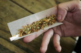 В Ясногорском районе задержан наркохранитель каннабиса