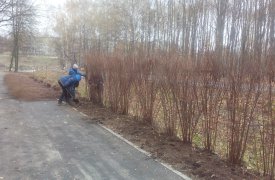 Сквер на ул. М. Жукова в Туле станет чистым и красивым