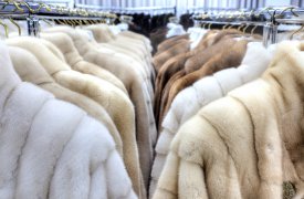 Пять тульских предпринимателей остались без шуб