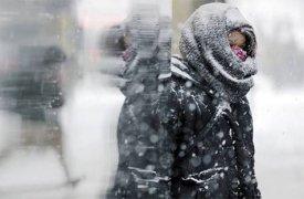 Погода в Туле в пятницу 11 ноября
