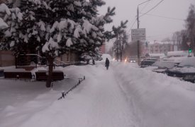 Какие тульские УК не справляются с уборкой дворов?