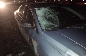 В Тульской области 50-летняя дама попала под колеса авто