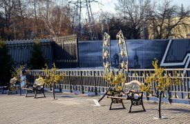 На набережной Упы «выросли» светящиеся сакуры