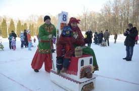В Центральном парке состоялся фестиваль наряженных санок