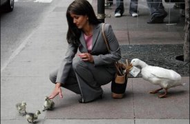 Жительница посёлка Тёплое ограбила своего гостя на 45 тыс. руб.