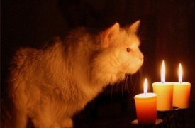 Где в Туле не будет света 7 февраля