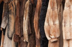 В Новомосковске судят троих разбойников, укравших из магазина норковые шубы