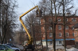 В Туле кронируют деревья и убирают дороги с тротуарами