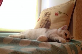Погода в Туле во вторник, 14 марта