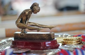 В Туле завершились соревнования «Спортивная гимнастика»