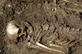 В дачном посёлке Суворова обнаружили скелет мужчины