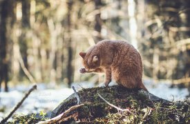 Чем погода порадует туляков в субботу