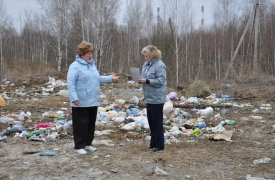 За неделю в Тульской области устранены 11 свалок, обозначенных на карте проекта «Генеральная уборка»