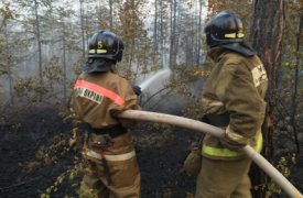 В Тульской области введен особый противопожарный режим
